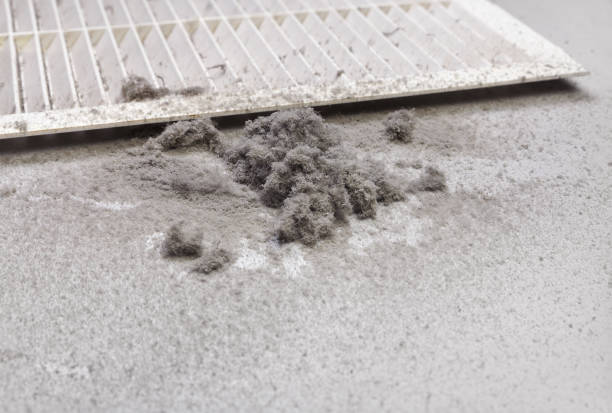 Best Best Air Duct Cleaning Company  in Lawtey, FL