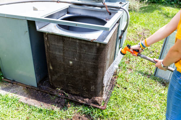 Best Air Duct Mold Removal  in Lawtey, FL