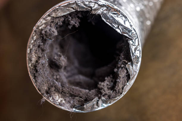 Best HVAC Air Duct Cleaning  in Lawtey, FL